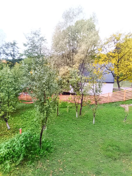 Campina, Valea Prahovei, Valea Doftanei